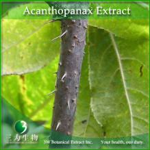 China Acanthopanax Extract - China Supplier