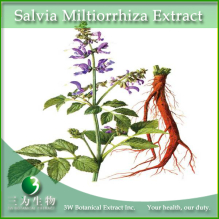 China Salvia miltiorrhiza Extract - China Supplier