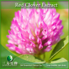 China Red Clover Extract - China Supplier China Red Clover Extract - China Supplier