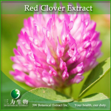 China Red Clover Extract - China Supplier