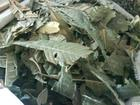 China Loquat Leaf Extract - China Supplier