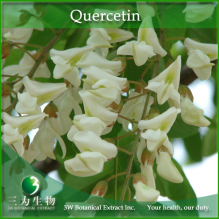 China Sophora japonica Extract - China Supplier