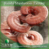China Reishi Mushroom Extract - China Supplier China Reishi Mushroom Extract - China Supplier