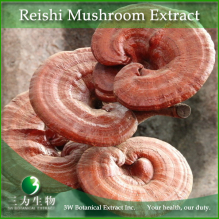 China Reishi Mushroom Extract - China Supplier