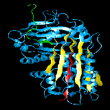 China Protein C - China Supplier