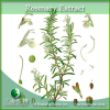 China Rosemary Extract - China Supplier China Rosemary Extract - China Supplier