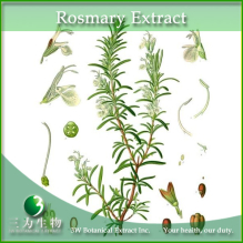 China Rosemary Extract - China Supplier