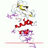 China Prothrombin - China Supplier