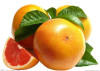 China Grapefruit seed extract powder - China Supplier China Grapefruit seed extract powder - China Supplier