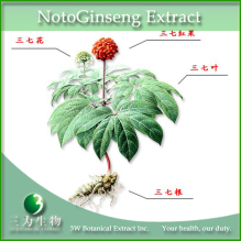 China Notoginseng Extract - China Supplier
