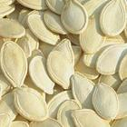 China Cushaw Seed Extract - China Supplier China Cushaw Seed Extract - China Supplier