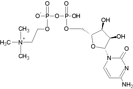 China CITICOLINE - China Supplier