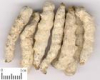 China Stiff Silkworm Extract - China Supplier China Stiff Silkworm Extract - China Supplier