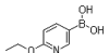 China 2-Ethoxy-5-pyridineboronicacid - China Supplier China 2-Ethoxy-5-pyridineboronicacid - China Supplier