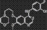 China gefitinib - China Supplier