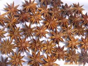 China Lllicium verum hook.f extract powder - China Supplier China Lllicium verum hook.f extract powder - China Supplier