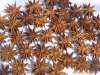 China Lllicium verum hook.f extract powder - China Supplier China Lllicium verum hook.f extract powder - China Supplier