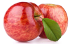 China high quality Apple Extract - China Supplier China high quality Apple Extract - China Supplier