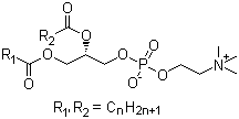 China Lecithin - China Supplier