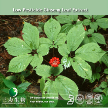 China Low Pesticide Residues Ginseng Leaf Extract - China Supplier