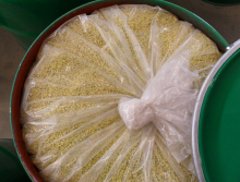 China SIBX - China Supplier
