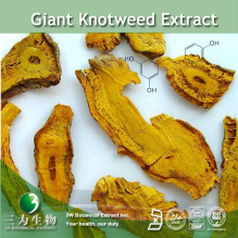 China Giant Knotweed Extract  - China Supplier