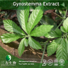 China Gynostemma Extract - China Supplier China Gynostemma Extract - China Supplier