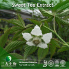 China Sweet Tea Extract - China Supplier China Sweet Tea Extract - China Supplier