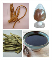China Radix Isatidis Extract - China Supplier