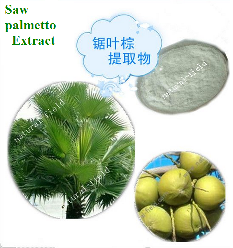 China Saw palmetto - China Supplier China Saw palmetto - China Supplier