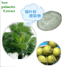 China Saw palmetto - China Supplier