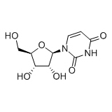 China Uridine - China Supplier China Uridine - China Supplier