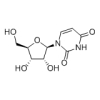 China Uridine - China Supplier China Uridine - China Supplier