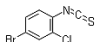 China 4-Bromo-2-chlorophenylisothiocyanate - China Supplier China 4-Bromo-2-chlorophenylisothiocyanate - China Supplier