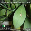 China Ruscus aculeatus Extract - China Supplier