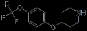 China 4-(4-Trifluoromethoxyphenoxy)piperidine - China Supplier