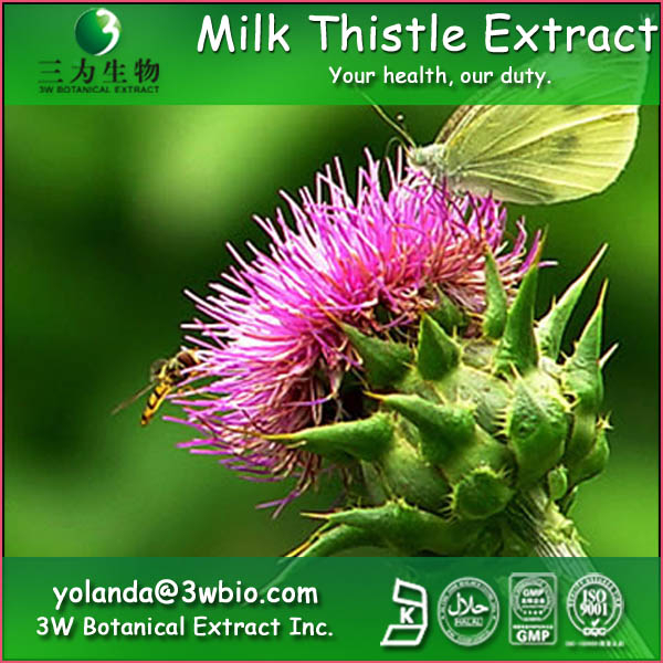 China Silybum Marianum Extract - China Supplier