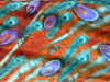 China Chiffon URAGIRI fabric - China Supplier China Chiffon URAGIRI fabric - China Supplier