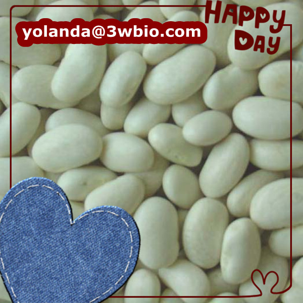 China White Kidney Bean Extract - China Supplier
