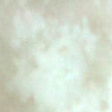 China palm wax - China Supplier