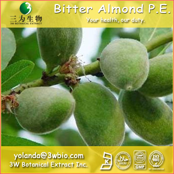 China Amygdalin  - China Supplier