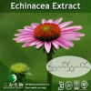 China Echinacea Extract - China Supplier China Echinacea Extract - China Supplier
