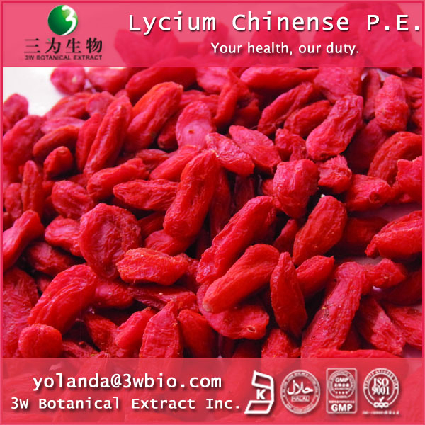 China Wolfberry Extract - China Supplier