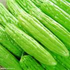 China Bitter Melon Extrac - China Supplier China Bitter Melon Extrac - China Supplier