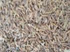 China Chinese Thorowax Extract - China Supplier China Chinese Thorowax Extract - China Supplier