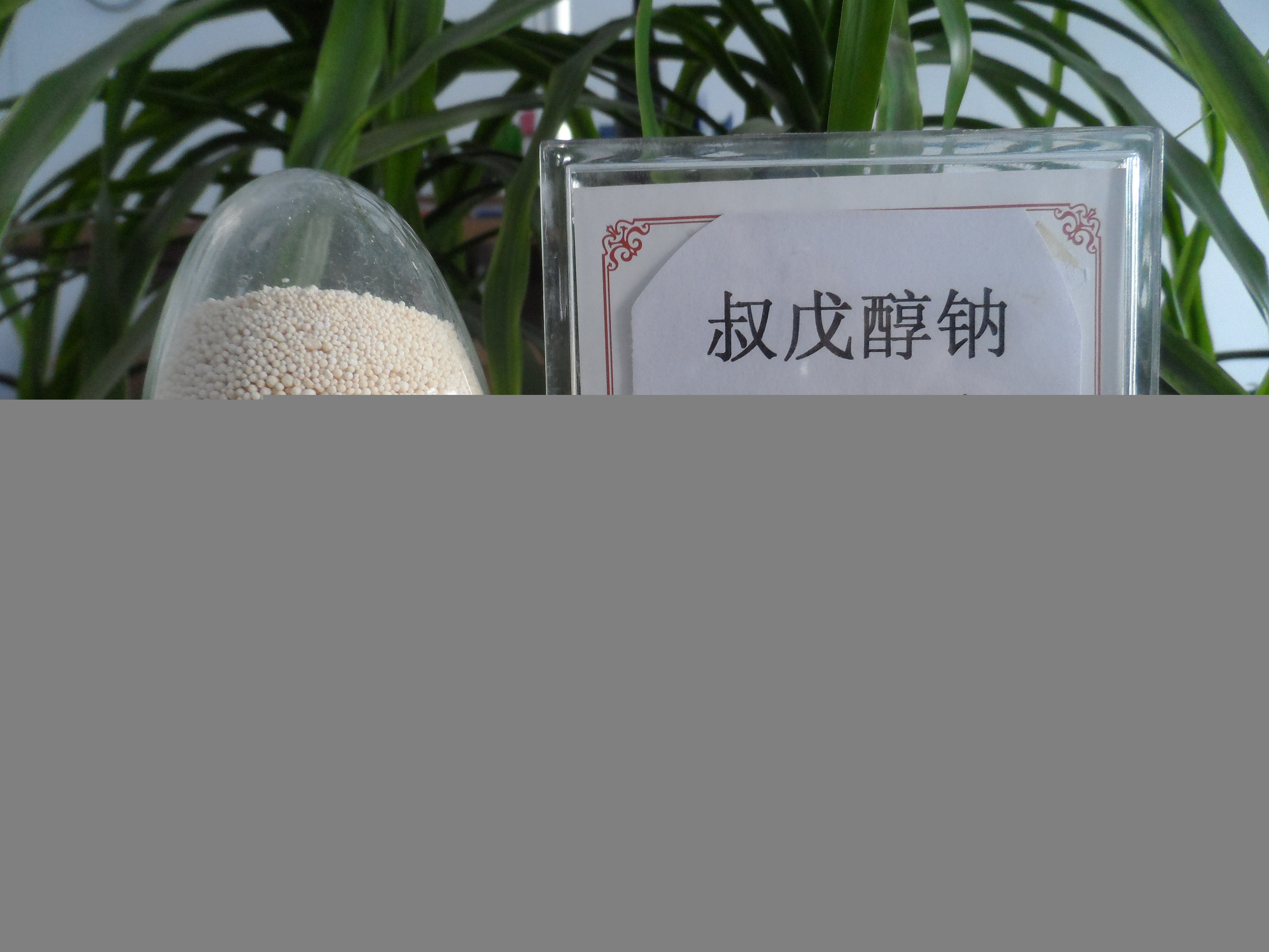 China Sodium-t-amylate - China Supplier