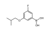China 3-Fluoro-5-isobutoxyphenylboronicacid - China Supplier China 3-Fluoro-5-isobutoxyphenylboronicacid - China Supplier