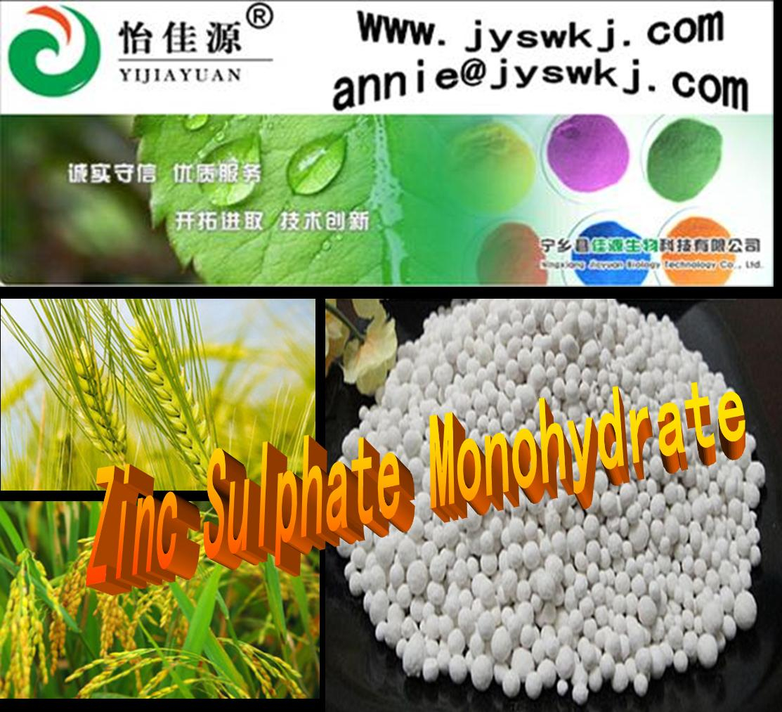 China Zinc Sulphate Monohydrate - China Supplier