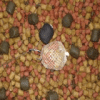 China BETAINE - China Supplier China BETAINE - China Supplier