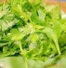 China Coriander Herb Extract - China Supplier China Coriander Herb Extract - China Supplier
